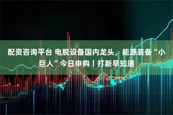 配资咨询平台 电脱设备国内龙头，能源装备“小巨人”今日申购丨打新早知道
