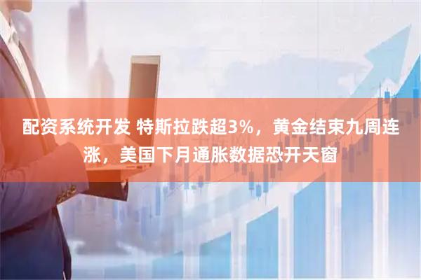 配资系统开发 特斯拉跌超3%，黄金结束九周连涨，美国下月通胀数据恐开天窗